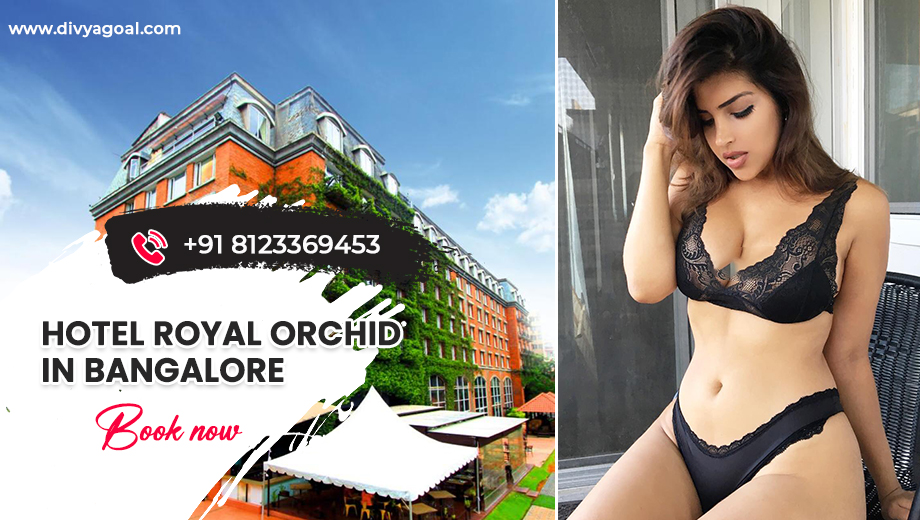 courtyard Bangalore escorts